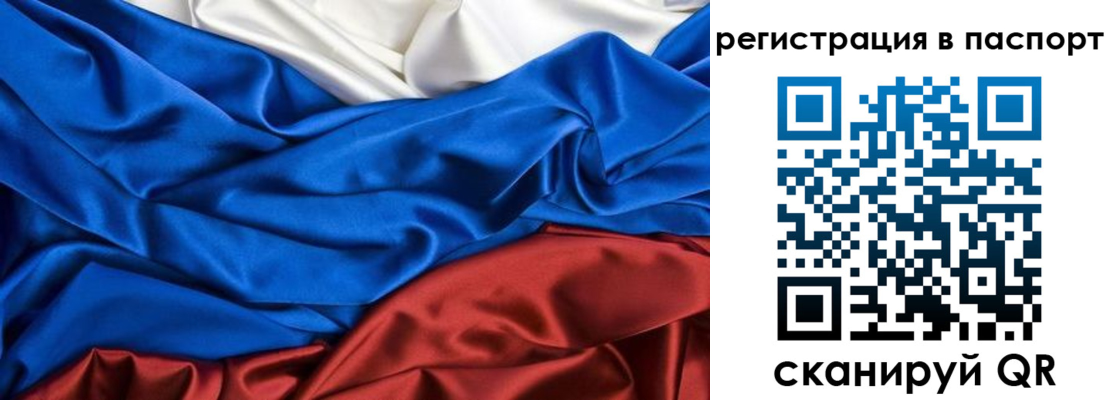 где прописаться в Алексине
